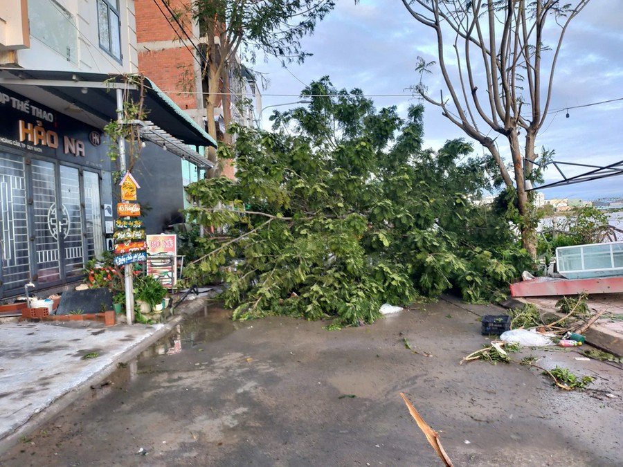 Cây xanh gãy đổ. Ảnh Đ.T anh-dt.jpg