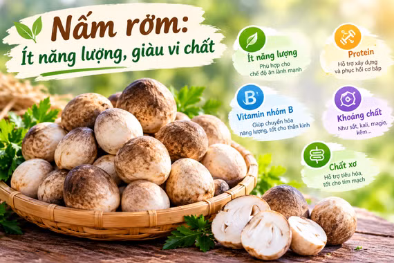 Nấm rơm ít năng lượng, giàu vi chất, cách chế biến bổ dưỡng 