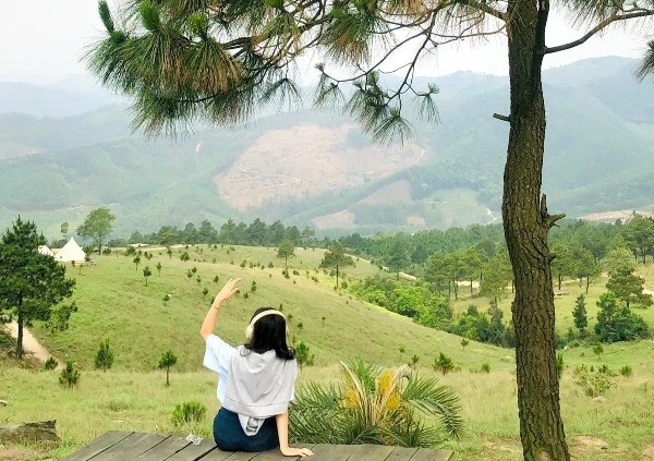 Vi vu đỉnh Phượng Hoàng, đắm mình giữa mây núi xanh