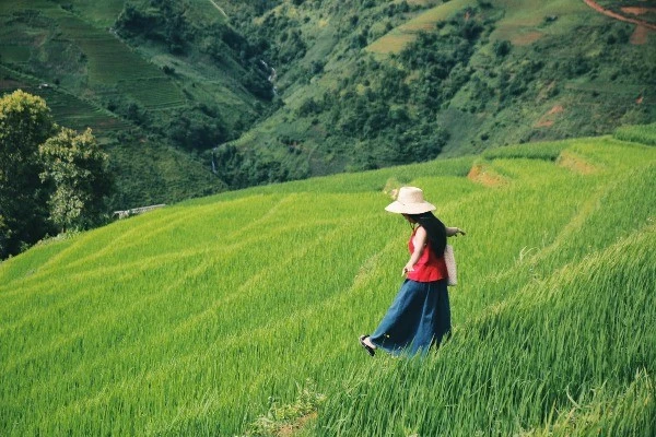Tránh nóng lên Xím Vàng, thả mình giữa mùa xanh mướt