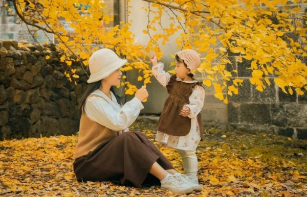 Mùa thu vàng rực rỡ ở làng Ngân Hạnh, điểm hẹn hút khách tại Vân Nam