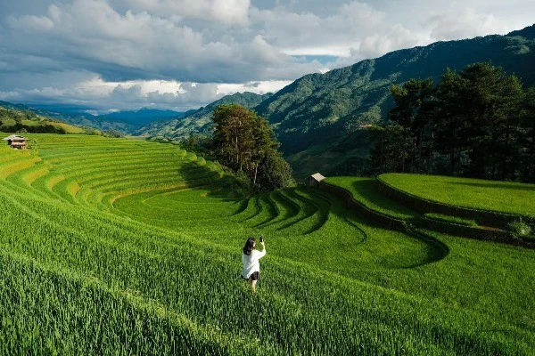 Mù Cang Chải xanh mướt mùa lúa non, hút khách mê xê dịch