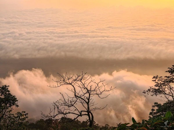 Ba Vì hút du khách với cảnh mây bồng bềnh mùa hè