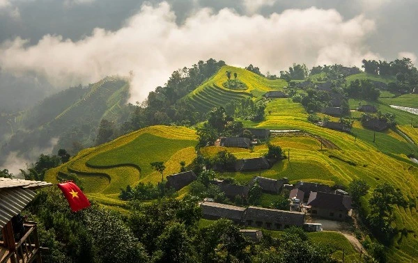 Ngắm mùa vàng Hoàng Su Phì, chọn tour hay tự túc để trải nghiệm trọn vẹn?