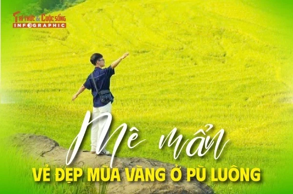 Mê mẩn vẻ đẹp mùa vàng ở Pù Luông 