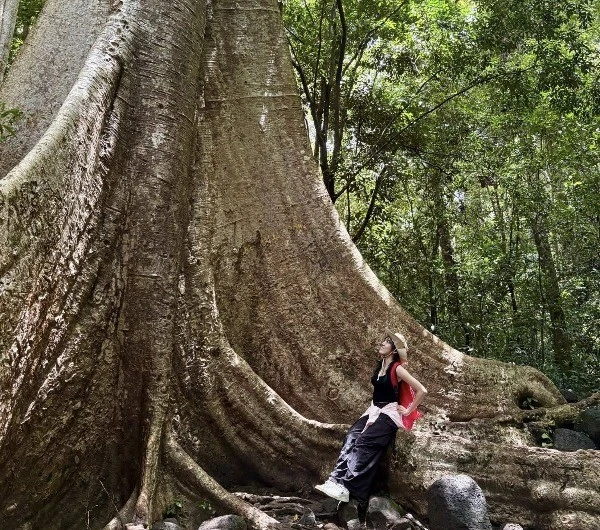 Hè về đến Nam Cát Tiên, trú nắng dưới tán rừng xanh mát