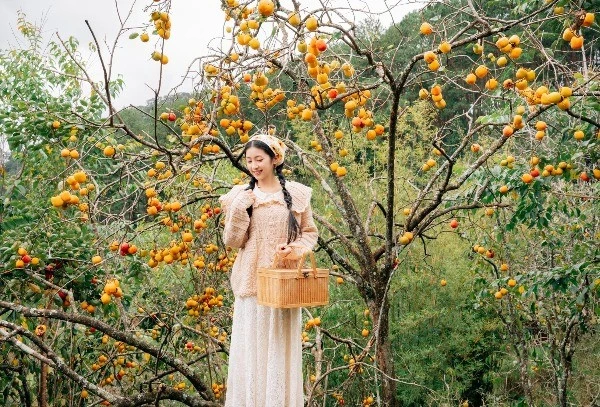 Đà Lạt mùa hồng rực rỡ, du khách hóa cô thôn nữ giữa phố núi mộng mơ