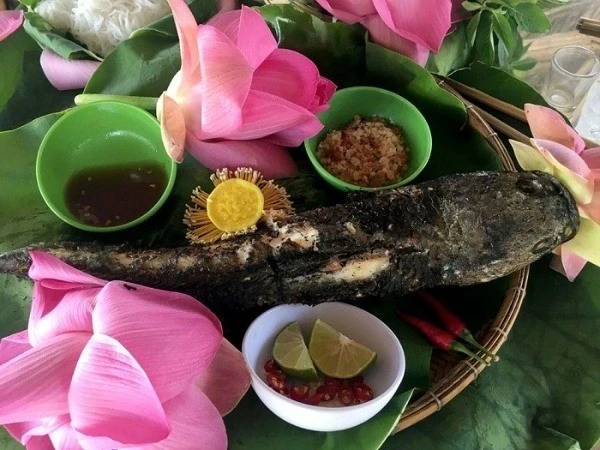 Thơm lừng cá lóc nướng trui cuốn lá sen non Đồng Tháp