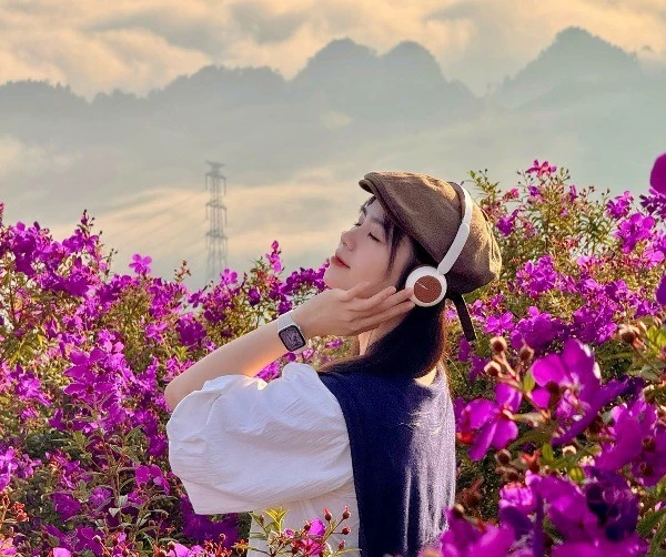 Suối Bon mùa hoa sim góc sống ảo lý tưởng cho du khách mê thiên nhiên