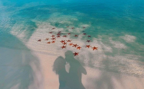 Về Rạch Vẹm ngắm sao biển, sống chậm giữa biển khơi