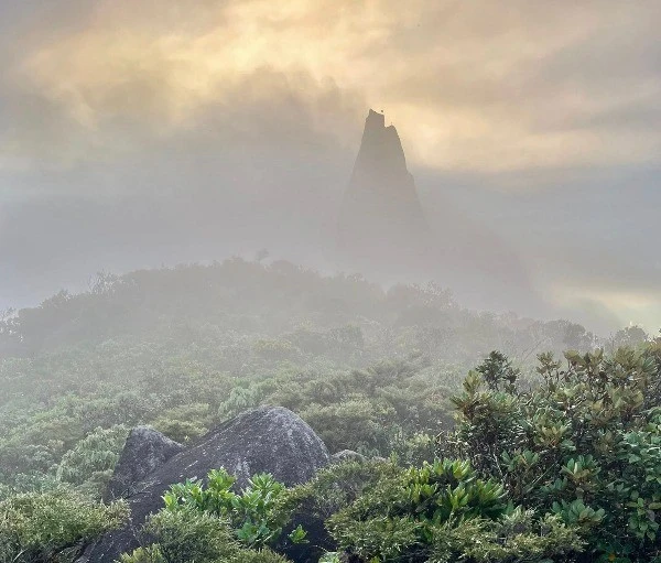 Trekking đỉnh Chư Mư ngắm hòn Vọng Phu, tự túc hay đi tour?