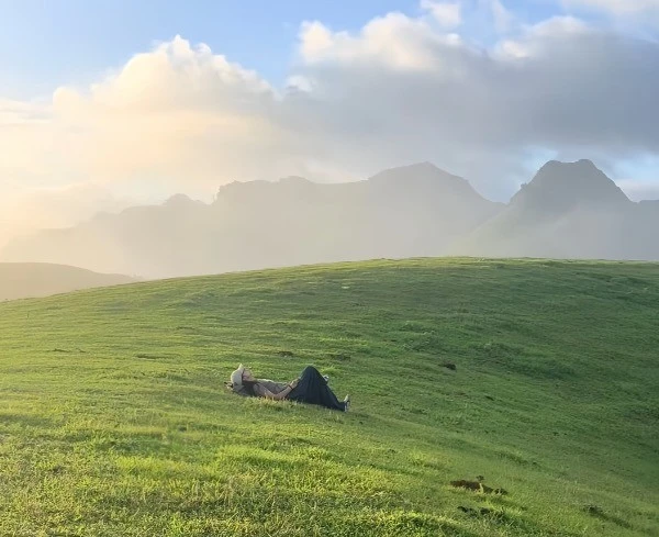 Check-in Đồi Sim Suối Bon, săn mây ngắm hoa tím tuyệt đẹp
