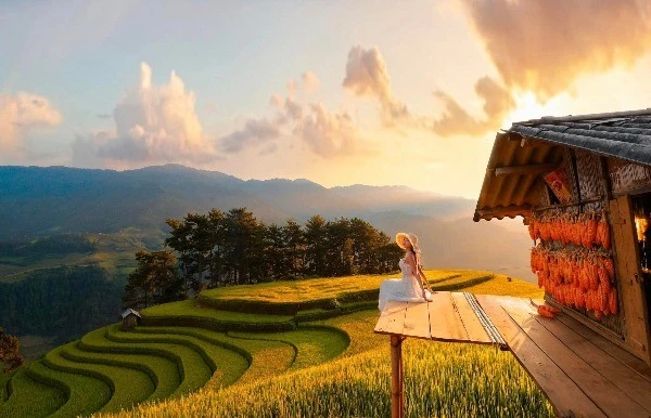 Đồi Móng Ngựa 'toạ độ' ngắm mùa lúa chín siêu thực ở Mù Cang Chải