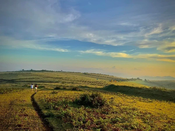 Thảo nguyên Bùi Hui vào mùa đẹp nhất, dân mê xê dịch đổ về