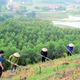 Triển khai kế hoạch chủ động ứng phó với biến đổi khí hậu