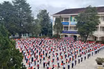 Đấu thầu tại trường TH Đa Thiện Đà Lạt: Lộ diện hai doanh nghiệp cạnh tranh 