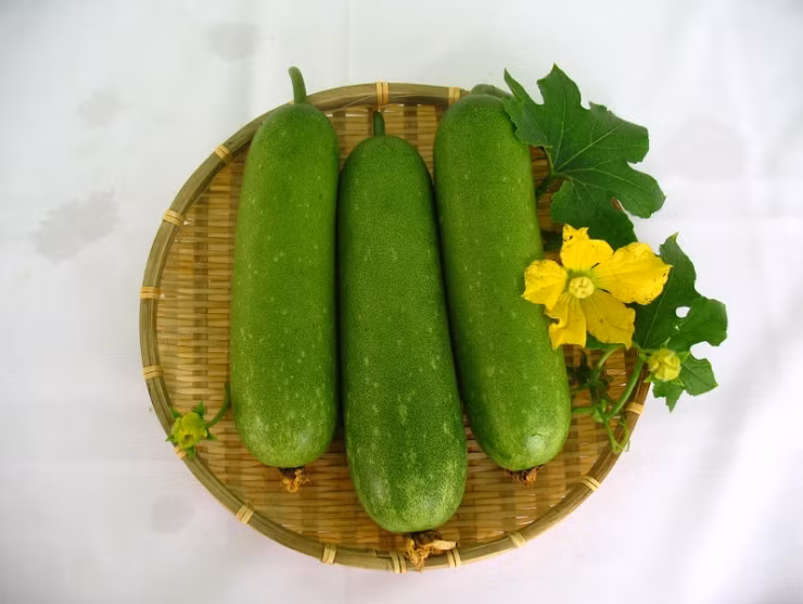 7 món canh mát bổ từ quả bầu cho bữa cơm mùa hè ảnh 1