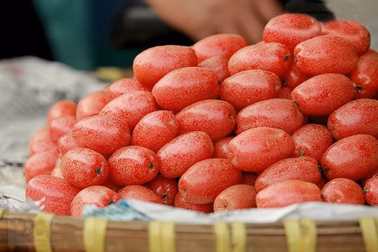 Thứ quả chua chát vào mùa, rễ tới quả đều có công dụng bất ngờ ảnh 1