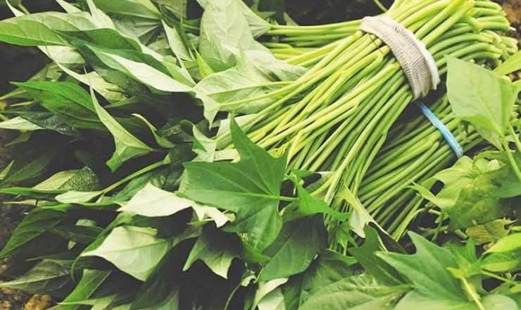 4 loại rau rẻ như cho bổ hơn thịt bán đầy chợ ảnh 4