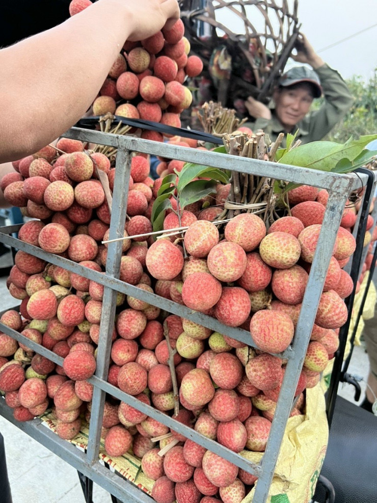 Sự thật về loại vải thiều đầu mùa được bán giá rẻ ở Hà Nội? ảnh 2 Sự thật về loại vải thiều đầu mùa được bán giá rẻ ở Hà Nội? ảnh 2