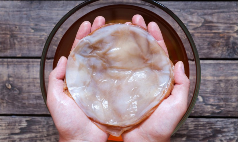 Chị em nuôi thứ này để làm trà uống, biết lợi ích ai cũng choáng ảnh 8 Chị em nuôi thứ này để làm trà uống, biết lợi ích ai cũng choáng ảnh 8