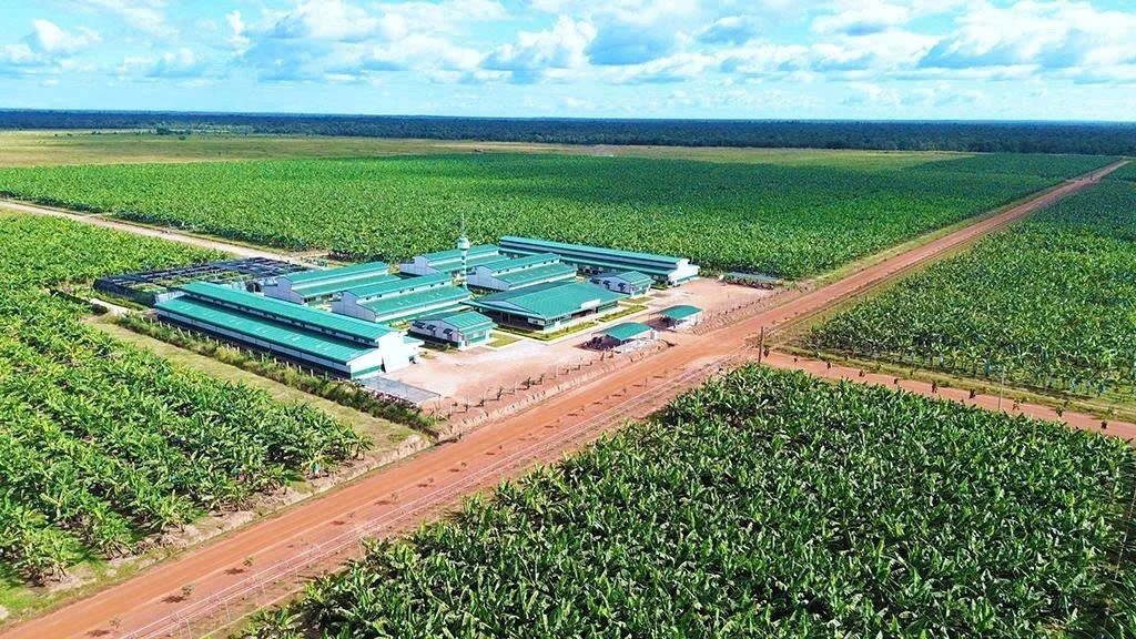 Làn sóng đầu tư Việt Nam đang phủ kín thị trường Lào – Campuchia