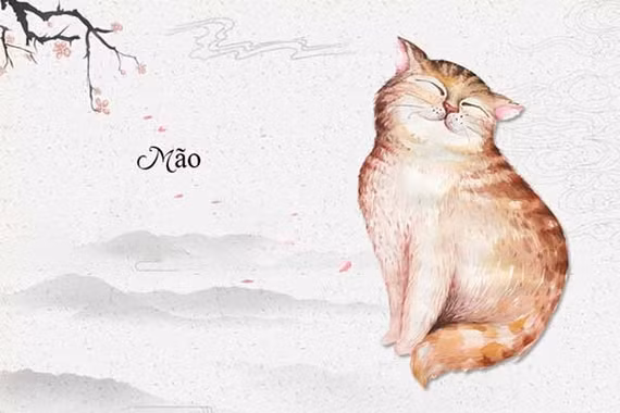 Dự đoán ngày mới 13/5/2026 cho 12 con giáp: Mão tận hưởng cuộc sống