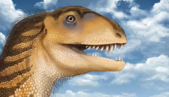 Sau hơn 4 thập kỷ, hóa thạch hộp sọ quái vật hơn 200 triệu tuổi được giải mã