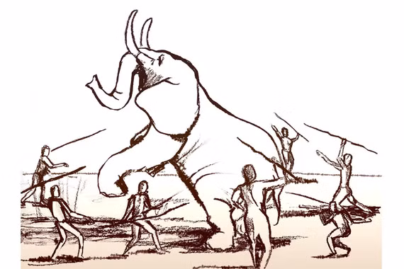 Nghiên cứu mới hé lộ cách người tiền sử ăn thịt voi giúp bộ não phát triển