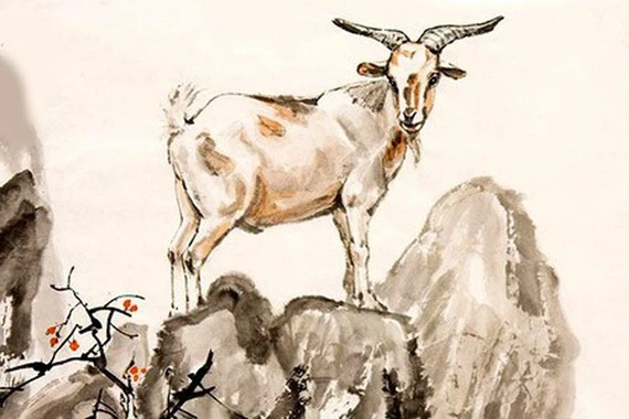 Tử vi tuần mới (7 - 13/7): 3 con giáp vượt khó thành công