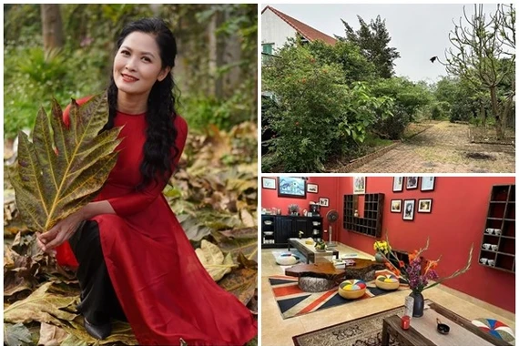 Bất động sản đáng ao ước của diễn viên Mưa đỏ Đinh Thúy Hà