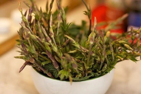 "Sửng sốt" loại rau từng bị vứt bỏ, nay 39 triệu đồng/kg