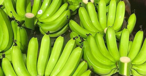 Khi chọn chuối để trưng bàn thờ, nên ưu tiên nải chuối chín vàng vừa phải, quả căng đều, cuống tươi - tránh chọn nải quá chín hoặc đã hư dập. Một nải chuối đẹp không chỉ mang lại cảm giác no đủ, mà còn giúp tổng thể mâm cúng hài hòa và trang nghiêm hơn.