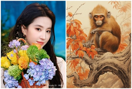 Lời khuyên: Đầu tư vào học hỏi công nghệ, tài chính, kỹ năng giao tiếp. Đa dạng hóa đầu tư, tránh dồn hết vào một kênh. Tránh khoe khoang quá đà, dễ vướng thị phi.
