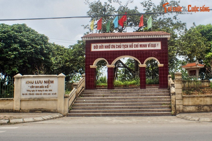 Bên Quốc lộ 3 ở trung tâm xã Đông Hội, huyện Đông Anh có Khu lưu niệm Cây đa Bác Hồ, một địa danh lịch sử gắn liền với phong trào Tết trồng cây do Chủ tịch Hồ Chí Minh khởi xướng.