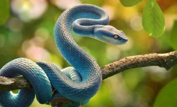 Bên cạnh đó, họ cũng biết đầu tư vào hình ảnh cá nhân, uy tín nghề nghiệp, nên càng về sau, càng có nhiều đối tác, khách hàng tín nhiệm.