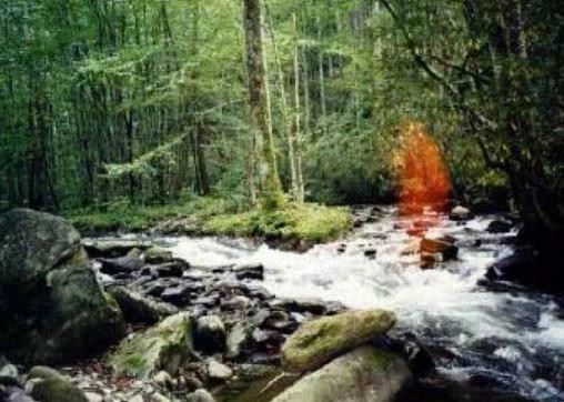 5. Bóng Đỏ Bên Dòng Suối: Chụp tại một khu bảo tồn thiên nhiên, bức ảnh ghi lại một “bóng đỏ” hình người hiện rõ giữa khung cảnh. Nhiếp ảnh gia khẳng định không có ánh sáng chiếu vào ống kính và không hề có người xuất hiện tại thời điểm đó.