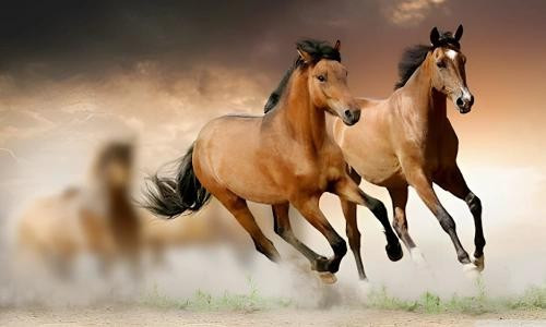 Hỏa sinh Thổ, mối quan hệ giữa con giáp này và gia đình vô cùng hòa hợp. Bạn và nửa kia luôn trò chuyện mọi vấn đề trong cuộc sống với nhau. Đôi lứa yêu nhau đang ở trong quá trình yêu đương nồng nhiệt, luôn nghĩ đến nhau.