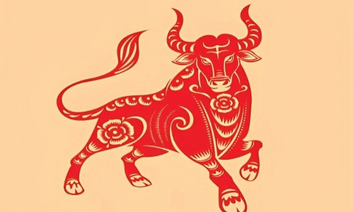 Ở tuổi đôi mươi – ba mươi, họ có thể không phải người nổi bật nhất, nhưng đến tuổi trung niên, chính sự kiên định và tinh thần “cày bừa” ấy lại đưa họ đến đỉnh cao tài chính.