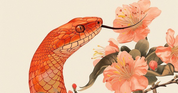 Họ đã hoàn thành nhiệm vụ một cách lặng lẽ và nhận được sự khen ngợi cao từ lãnh đạo và sự ngưỡng mộ từ đồng nghiệp. Sau đó, công ty đã thưởng cho người tuổi Tỵ một khoản tiền hậu hĩnh và tạo cho chúng nhiều cơ hội phát triển hơn.