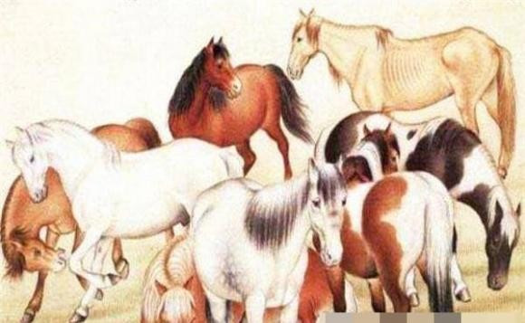Tài vận của tuổi Ngọ theo đó mà khởi sắc. Nếu biết nắm bắt thời cơ thì tuổi Ngọ có thể sẽ gia tăng tài sản, tích lũy được số tiền không nhỏ để đầu tư dài hạn.