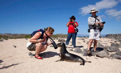 Gặp thú dữ, du khách đừng làm những điều này!