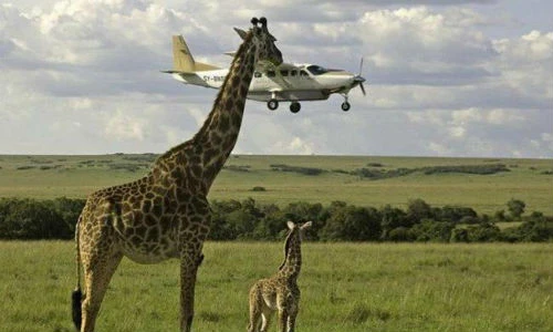 Ảnh chụp đúng thời điểm tạo sự trùng hợp khó tin 