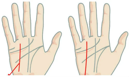 Xem đường chỉ tay Thái Dương bói chuẩn tài vận công danh