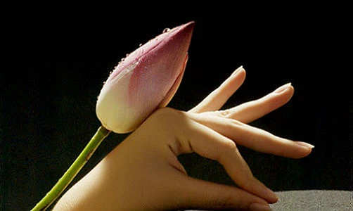 7 tướng bàn tay của đàn bà ế chỏng ế chơ