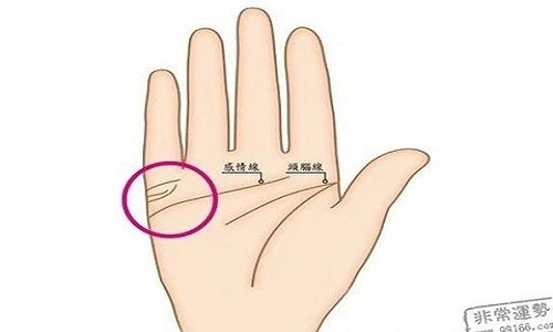 Đàn bà có đường chỉ tay này, ắt lấy được hảo hán