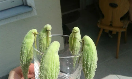 Những sự trùng hợp hài hước đến khó tin