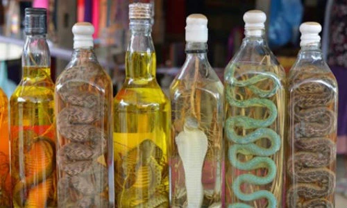 Top món ăn Việt khiến báo ngoại khiếp vía