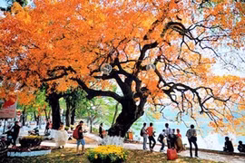 Thời tiết hôm nay 21/4: Bắc Bộ nhiều nơi ngày nắng, rải rác có mưa rào