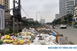 Đường Nguyễn Cảnh Dị ở Hà Nội thi công dở dang, công trường bỏ không ngập rác